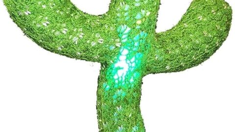 Pbooo Dancing Cactus Mimicking Toy,Talking Repeat Singing Sunny Cactus Toy 120 Pcs