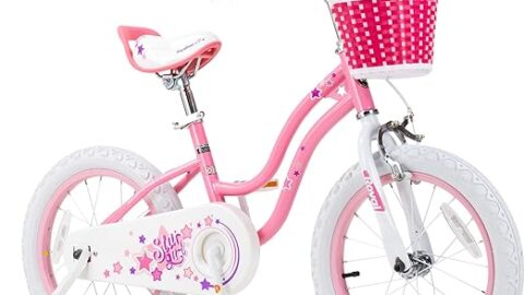 Royalbaby Stargirl Kids Bike Girls 12 14 16 18 20 Inch Children's Bicycle