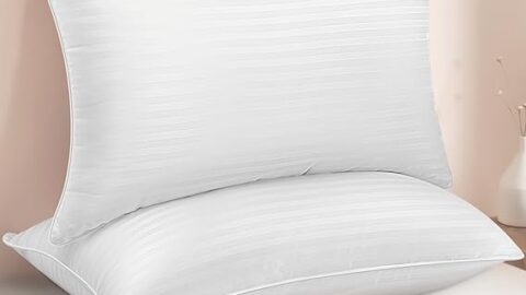 Queen Size Bed Pillows Set of 2 - Premium Down Alternative Cooling Pillows for Side
