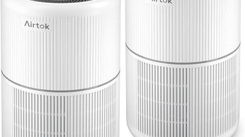2 Pack Air Purifier for Home Bedroom with H13 True HEPA Filter for Smoke, Smokers, Dust