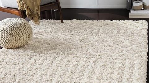Livabliss Hapsburg Moroccan Shag Area Rug, 6'7" x 9'6", Beige